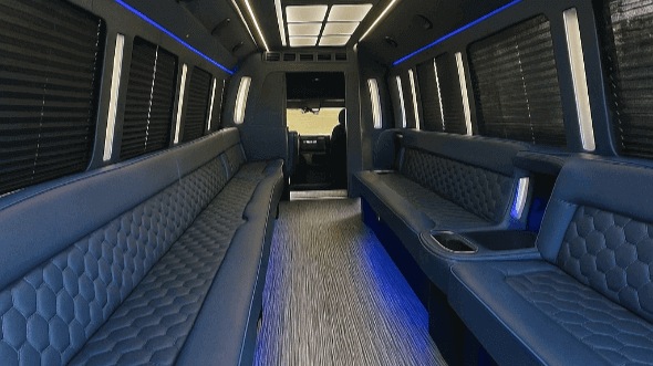 baton rouge 25 passenger party bus rental