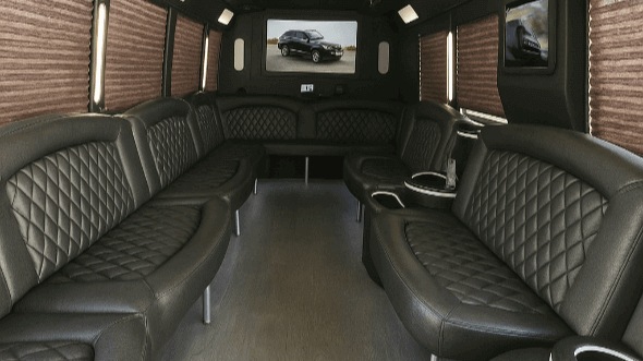 baton rouge 28 passenger party bus rental