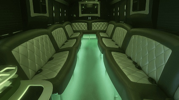 baton rouge 40 passenger party bus interior